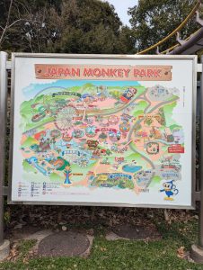 Monkey Park Map